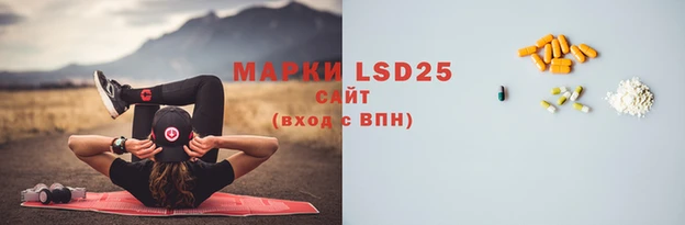прущие крисы Алзамай