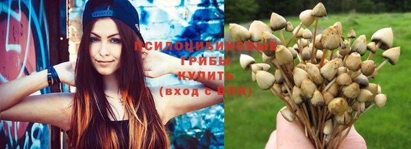 хмурый Армянск